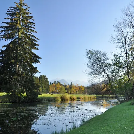 Alphirt Daire