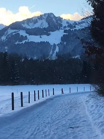 Appartamento Alphirt Fischen im Allgaeu